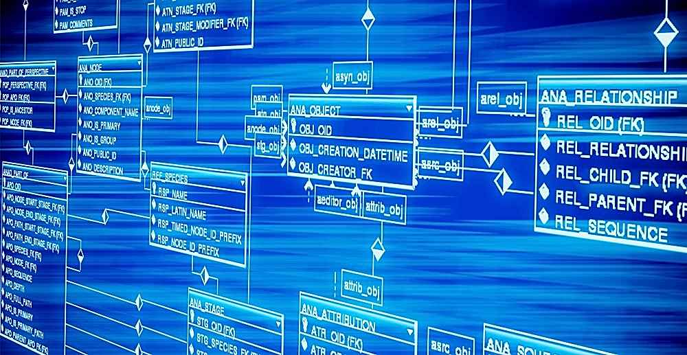 Her Yönüyle SQL Server PowerBI ile Veri Analizi ve Raporlama
