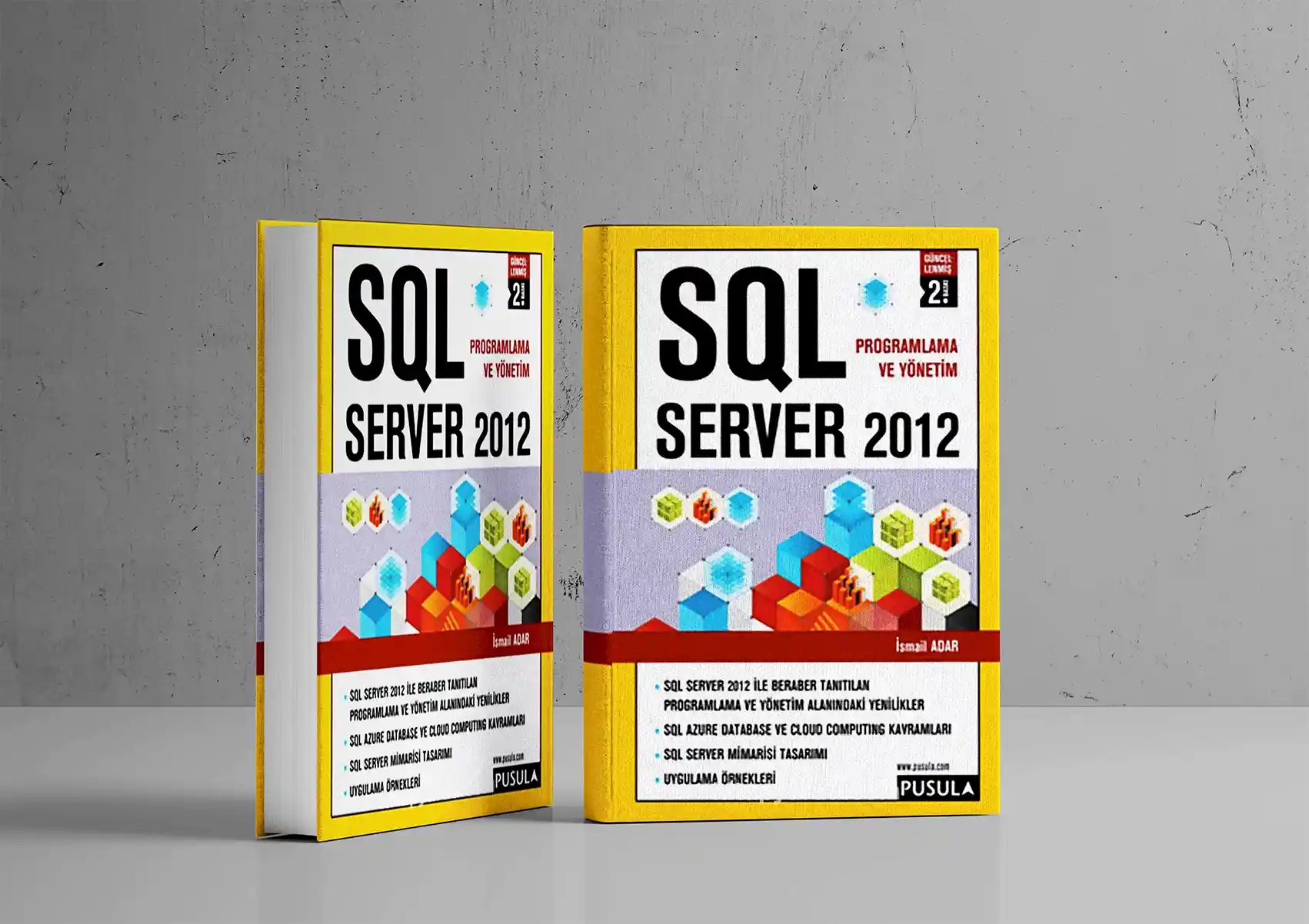 SQL Server 2012 Programlama ve Yönetim Kitabı